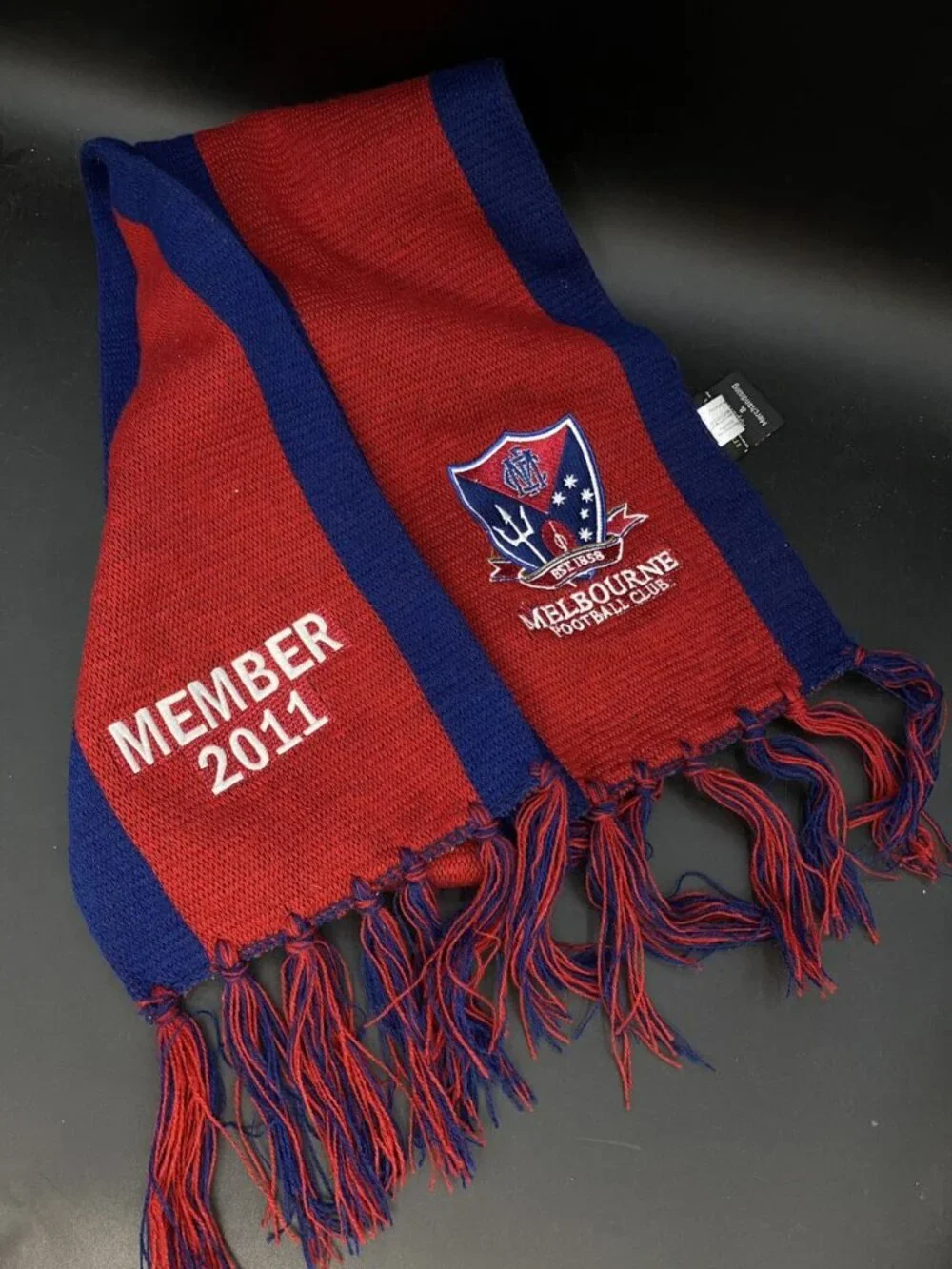 Melbourne Demons 2011 member